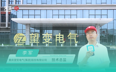 pg电子官网入口x望变电气